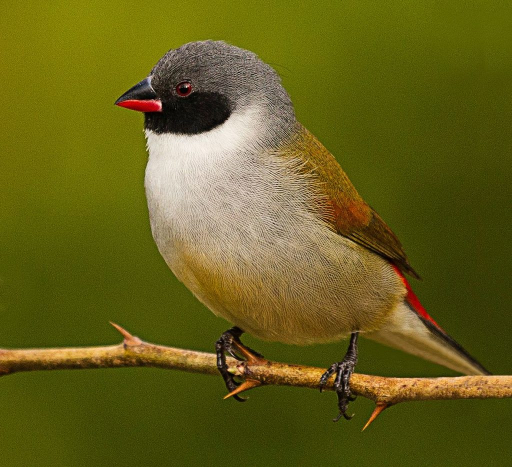 How to take tack sharp photos